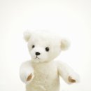 테디베어 이미지