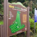 신효동-9 이미지