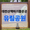 유림주 | 대전유성가볼만한곳 유림공원 저녁 산책 후기