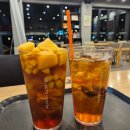 멍바이멍 반려견 유치원 이미지