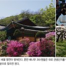 강화 고려산등 당일치기 맞춤 여행 이미지