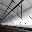 운하농장 이미지