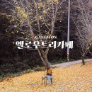 평안한치길 이미지