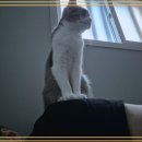 행복한날들 이미지