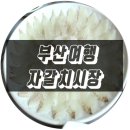 부산 자갈치시장 횟집 다녀왔어요! (+주차장, 요금)