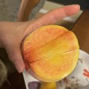 복숭아데이 복숭아 추천해요, 썬플러스 복숭아 3kg 후기