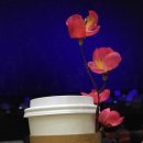 세종의 신악 - 뿌리 깊은 나무 샘이 깊은 물 이미지