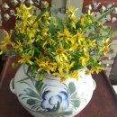 둥지나래 이미지