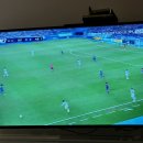 브룩파이브
