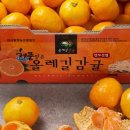 스마트스토어로 월 100만원 버는 현실적인 방법 7가지