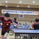 성주별고을체육관 이미지