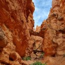 # 6 여왕의 정원 브라이스캐년 (Bryce Canyon)