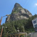 울릉도여행 가볼만한곳 코끼리바위 관광 여행 체험 방문 힐링후기