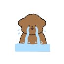 이마트24 R시화중앙점 이미지