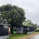 영서로5 | 춘천 호반캠핑장 타프존 A2사이트 우중캠 후기 (DOD이에텐트)