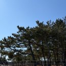 302 미노 이미지