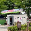 전원일기마을 오토 캠핑장 티스토리