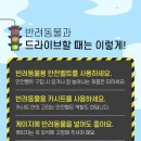 바론동물병원 이미지