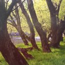 함양우체국 이미지