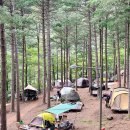 덕유산자연휴양림 이미지