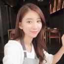 세렌디피터 이미지