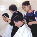 (학교)경포여중 이미지