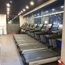 팀레드휘트니스 이미지