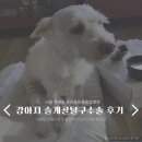 우리들동물종합병원 이미지