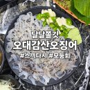 오대감산오징어 이미지