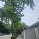 홍지유치원 | 히키코모리 10년 경력자의 휴일