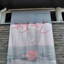 4.3 창작뮤지컬 동백꽃 피는 날 | 제주문예회관 소풍~★