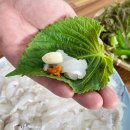 영덕회수산