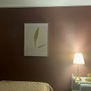 비에이치엘 테라피 이미지