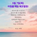 에코힐링