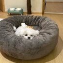 강릉료칸소돌향호 이미지