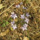 도로감시 이미지