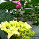 무정농장 이미지