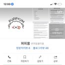 퍼피움 이미지