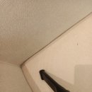 까사미아김포 | [일산소파청소] 까사미아 캄포 미니 음식물 오염, 습식청소 잘못하면 곰팡이 지옥? (파주/김포/인천)