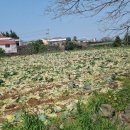 한경체육관 이미지