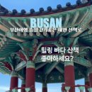 죽도공원공영주차장 앞 이미지