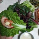 양주농장 | 농장직송 양주농부 이범석 쌈채소 후기