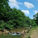 거기그곳에 이미지