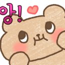 더 따숲 이미지