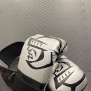 플렉스 복싱 이미지