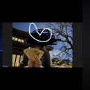 부동산 공경매-심화(주간) | [공지] 💎 풍요수업 녹화본 런칭 | 억대 통장·사랑·건강까지 바꾼 실제 후기 모음