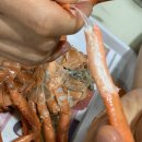 부자수산 이미지