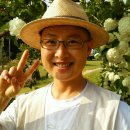 봉화농장 이미지