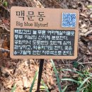오륜대 땅뫼산 황토숲길 맨발걷기 다녀온 후기 (주차장안내)