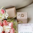 테라리움서울